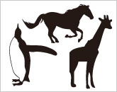 動物