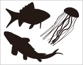 水中の生き物