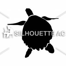 亀 シルエット イラストの無料ダウンロードサイト シルエットac