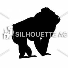 ゴリラ シルエット イラストの無料ダウンロードサイト シルエットac