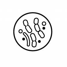 シャーレ シルエット イラストの無料ダウンロードサイト シルエットac