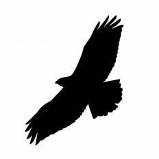 鷲 シルエット イラストの無料ダウンロードサイト シルエットac