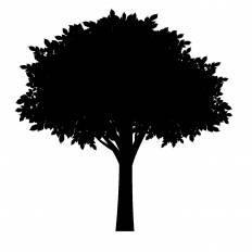 樹木 シルエット イラストの無料ダウンロードサイト シルエットac