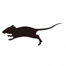 ネズミ シルエット イラストの無料ダウンロードサイト シルエットac