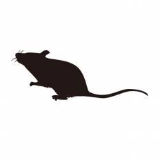 ネズミ シルエット イラストの無料ダウンロードサイト シルエットac