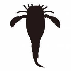 古代生物 シルエット イラストの無料ダウンロードサイト シルエットac