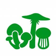 きのこ 緑 きのこのシルエットイラスト 緑