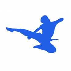 空手 青 空手のシルエットイラスト 青